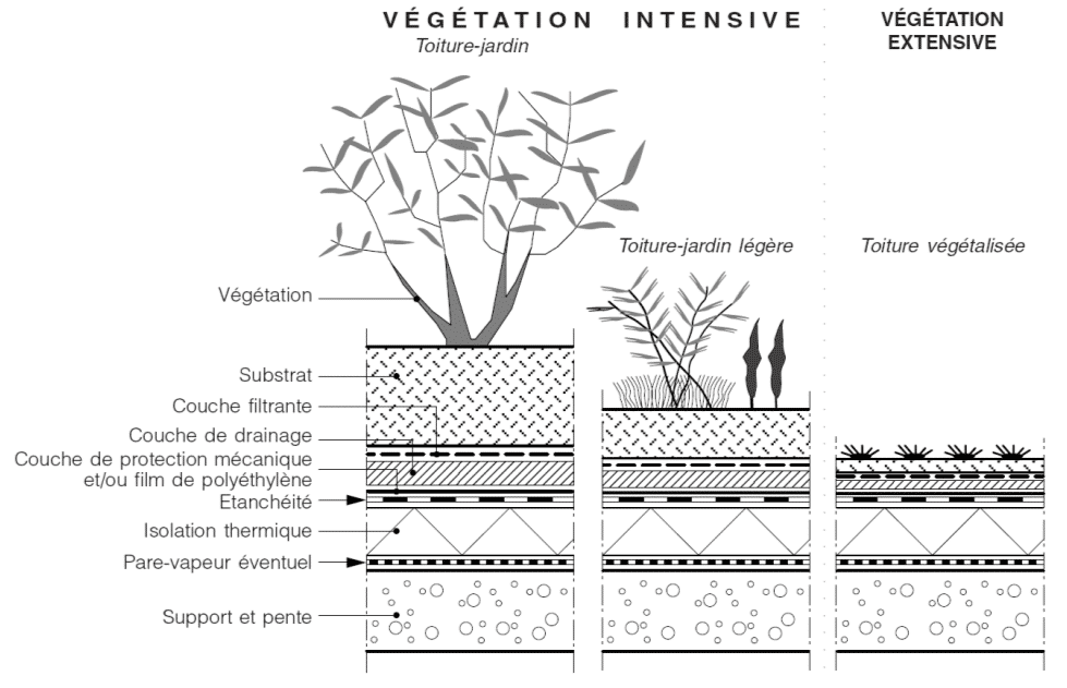 Les couches techniques des différents types de toitures végétales